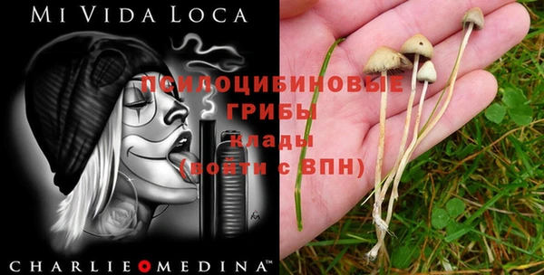 дмт Зерноград